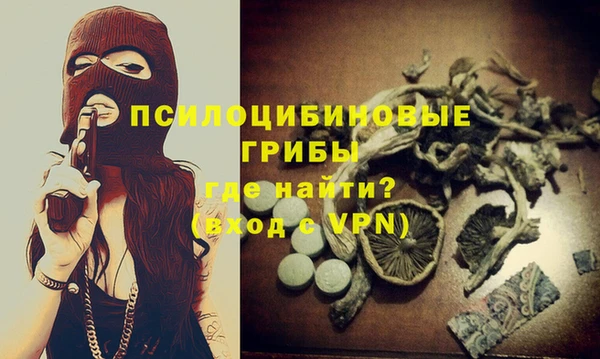 apvp Кинешма