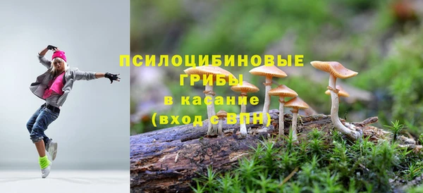 крисы Краснотурьинск